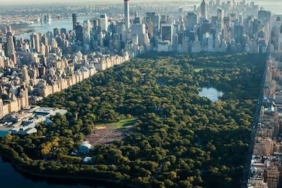 New York Central Park'ta Bıçaklı Cinsel Saldırı Şüphelisi Aranıyor